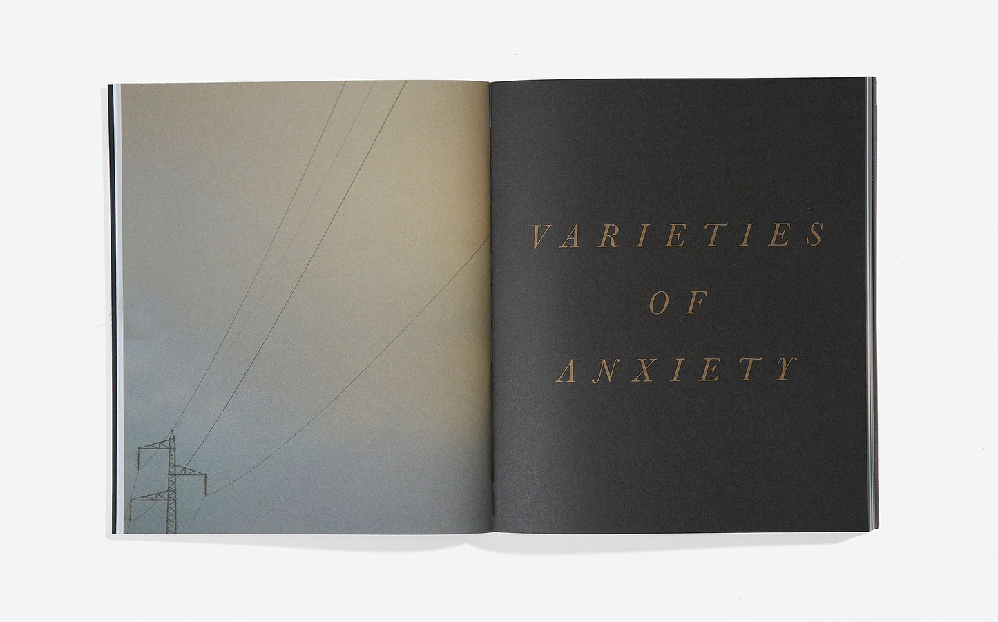 Anxiety Book